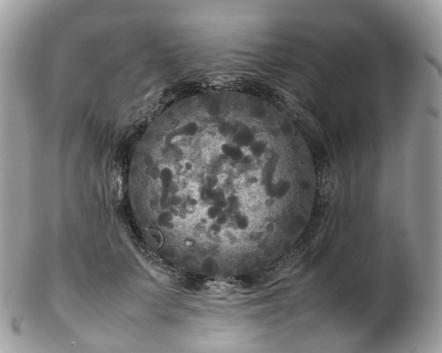 X0000102840703200808251156