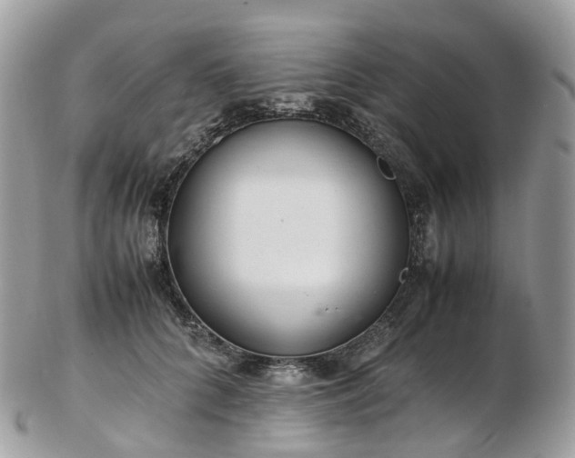 X0000102840704200808251156