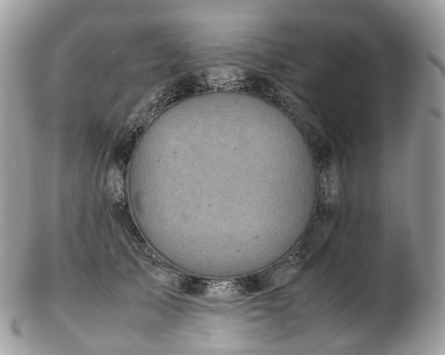 X0000102840705200808251156