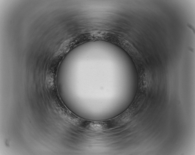 X0000102840706200808251156