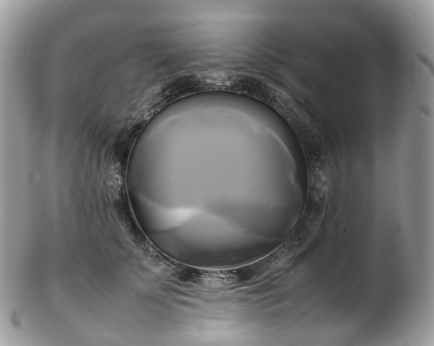 X0000102840707200808251156