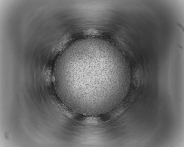 X0000102840708200808251156