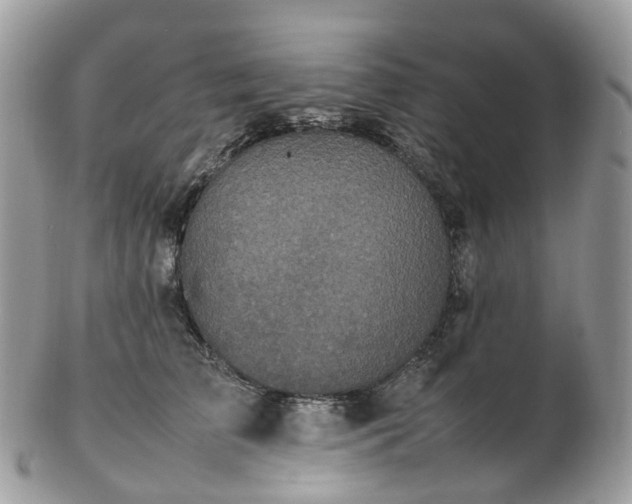 X0000102840709200808251156