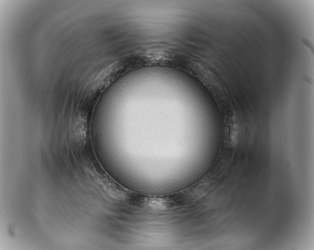 X0000102840710200808251156