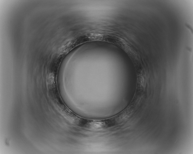 X0000102840711200808251156