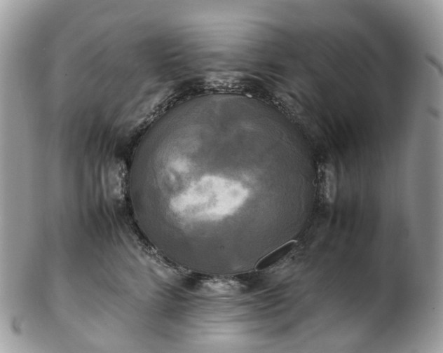 X0000102840712200808251156