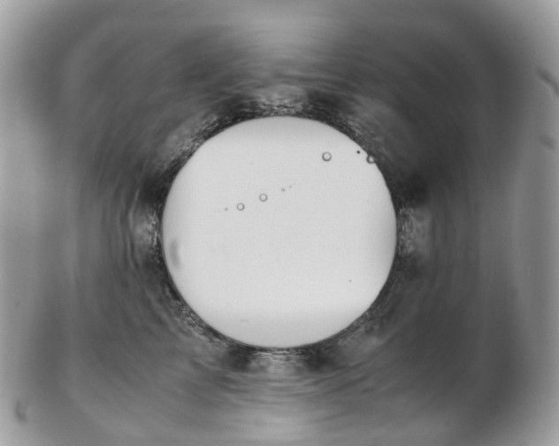 X0000102840713200808251156