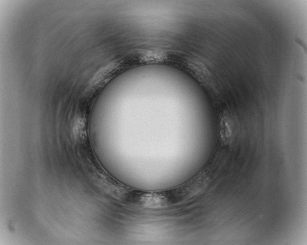 X0000102840714200808251156