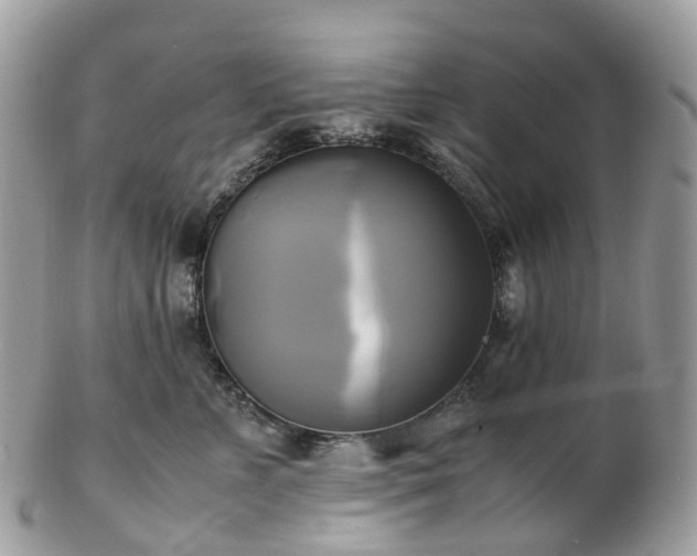 X0000102840715200808251156