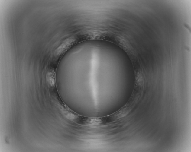 X0000102840719200808251156