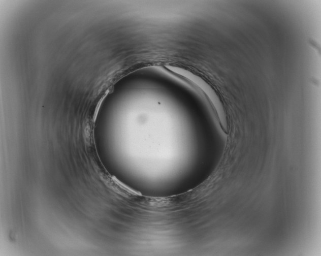 X0000102840720200808251156