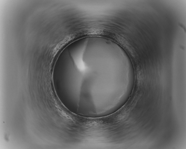 X0000102840721200808251155