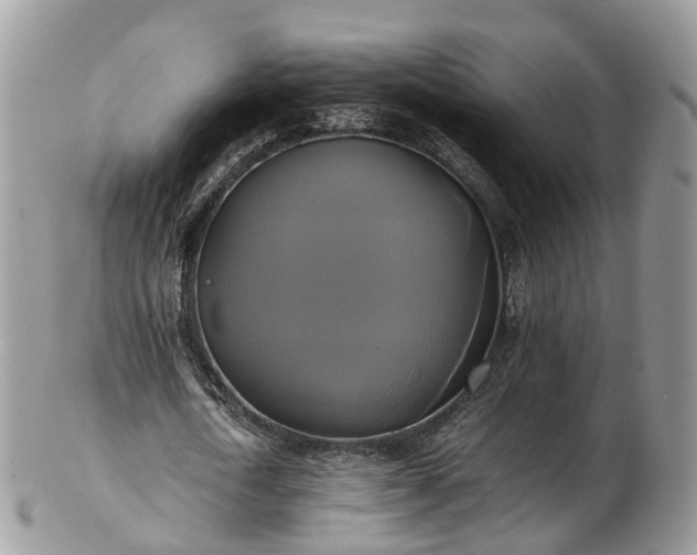 X0000102840722200808251155