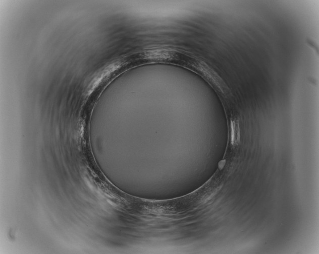 X0000102840723200808251155