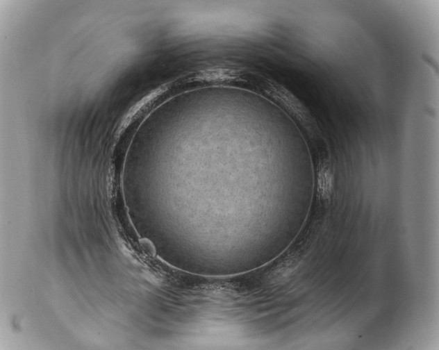 X0000102840724200808251155