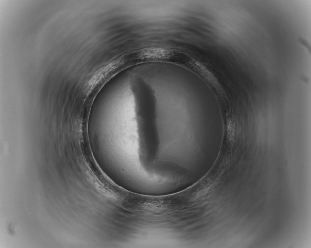 X0000102840725200808251155