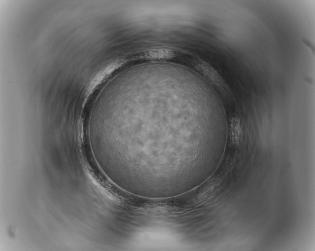 X0000102840726200808251155