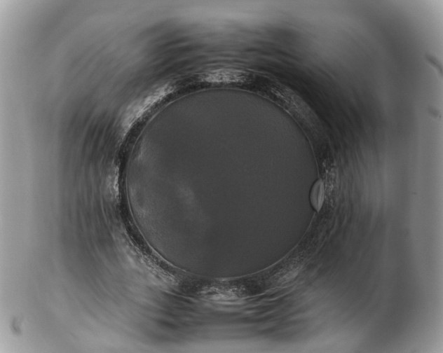 X0000102840727200808251155