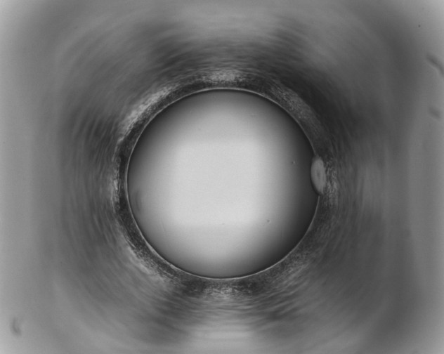 X0000102840728200808251155