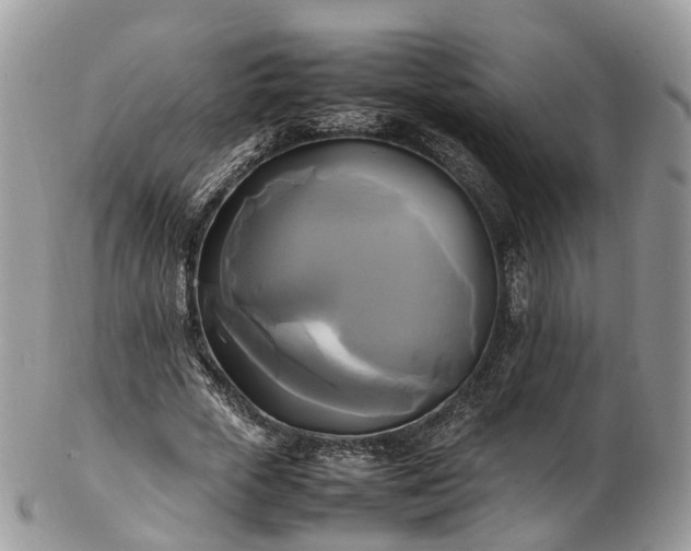 X0000102840729200808251155