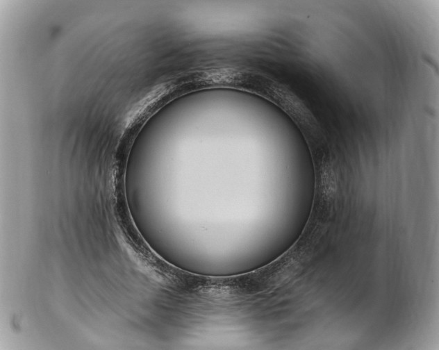 X0000102840730200808251155