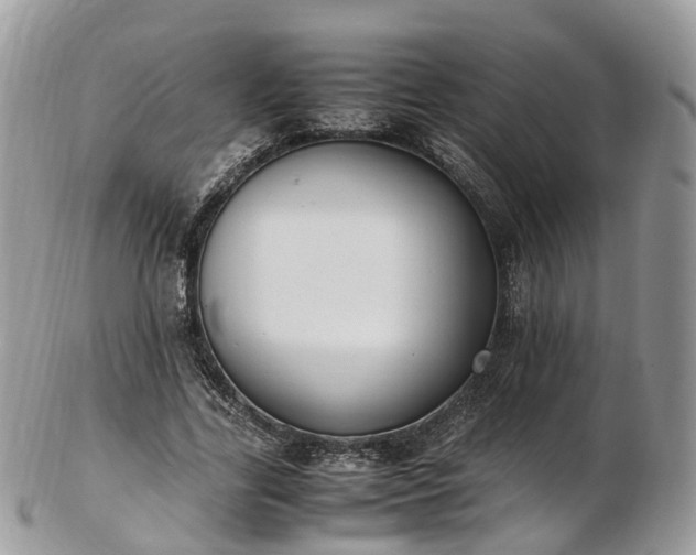 X0000102840731200808251155