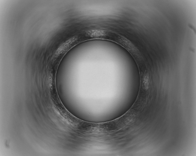 X0000102840732200808251155