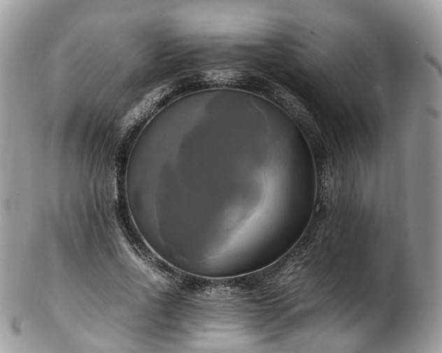 X0000102840734200808251155