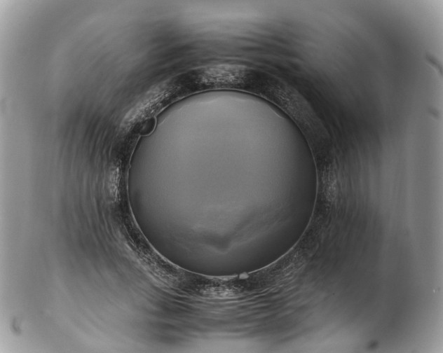 X0000102840735200808251155