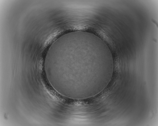 X0000102840736200808251155