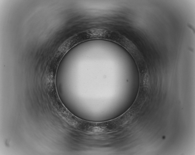 X0000102840737200808251155