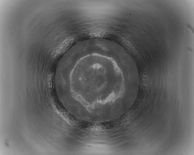 X0000102840738200808251155