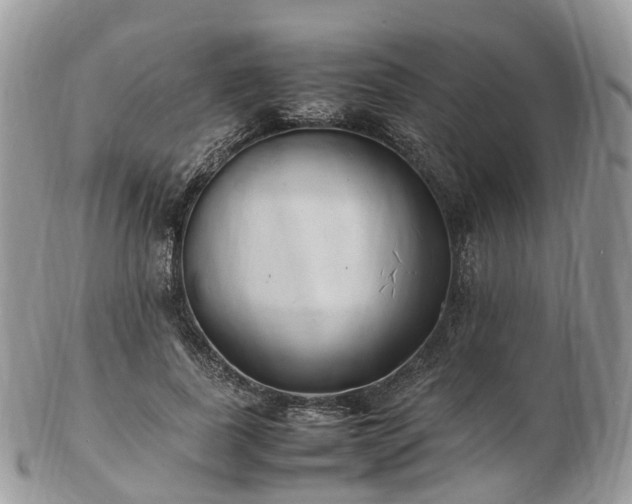 X0000102840739200808251155