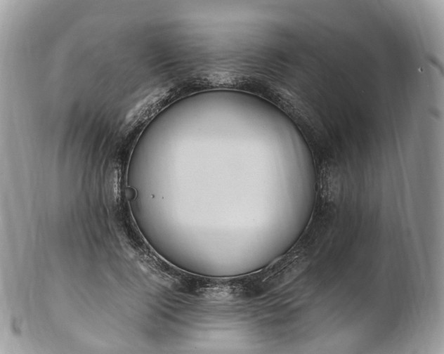 X0000102840740200808251155