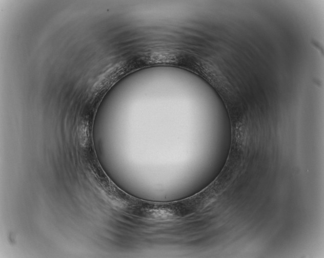 X0000102840741200808251155