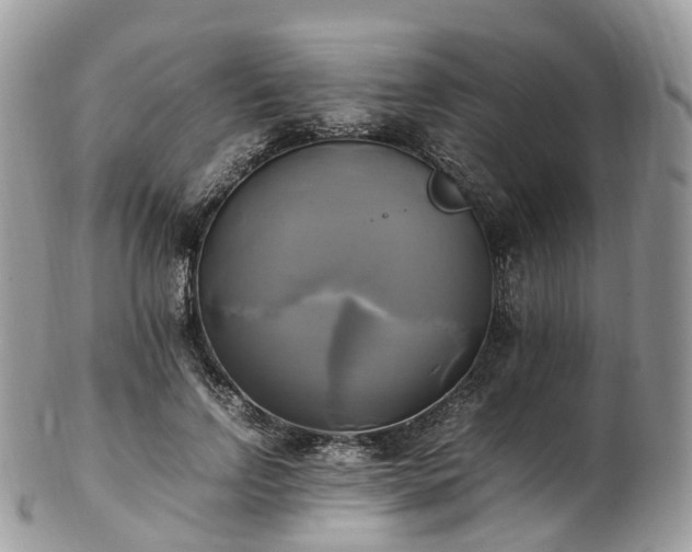 X0000102840742200808251155