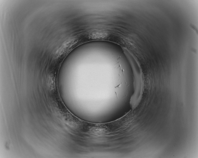 X0000102840743200808251155