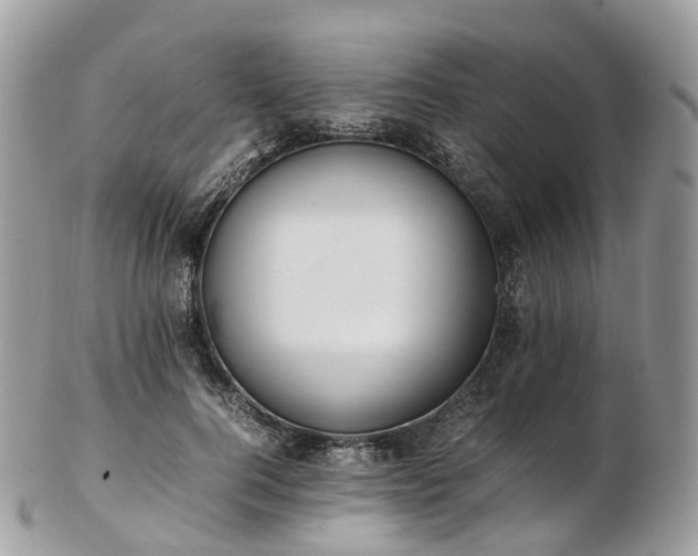 X0000102840744200808251155