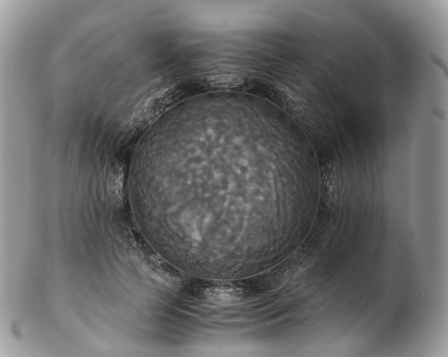 X0000102840745200808251155