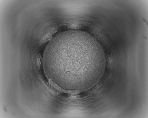 X0000102840746200808251155