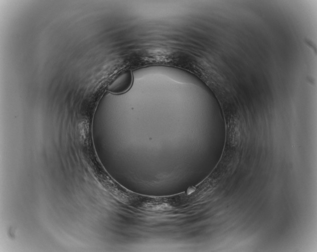 X0000102840747200808251155