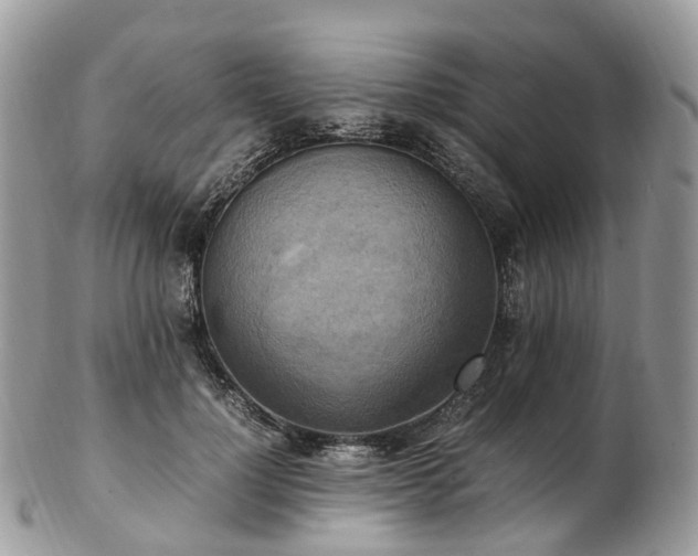 X0000102840748200808251155