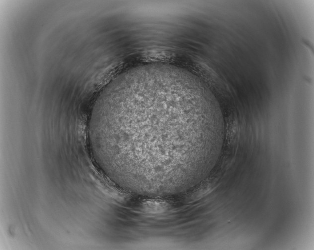 X0000102840749200808251155