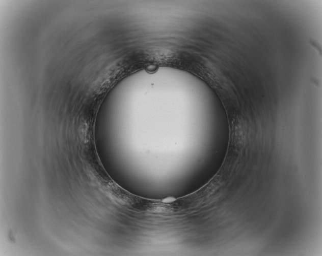 X0000102840750200808251155