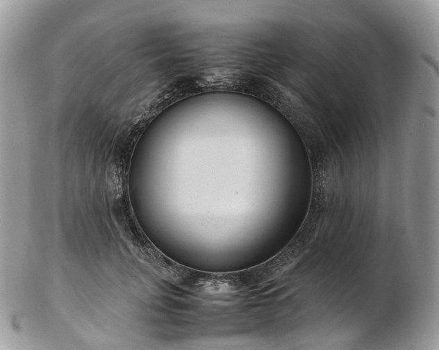 X0000102840751200808251155