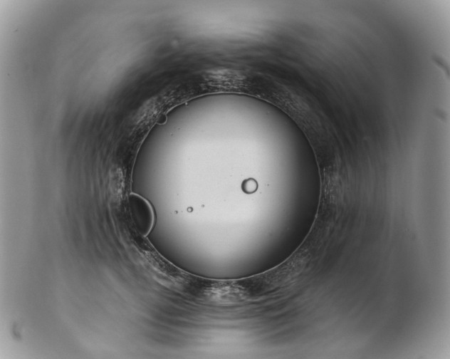 X0000102840752200808251155