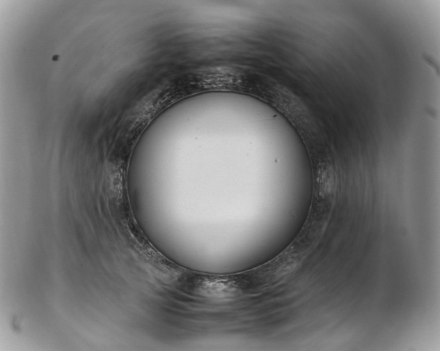 X0000102840753200808251155