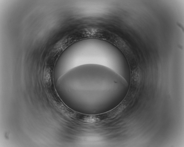 X0000102840754200808251155