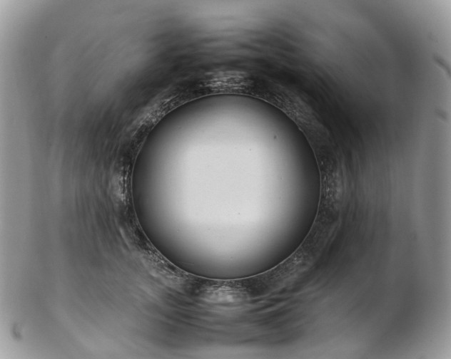 X0000102840755200808251155