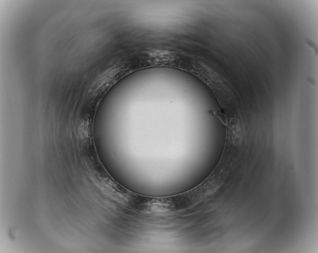 X0000102840756200808251155